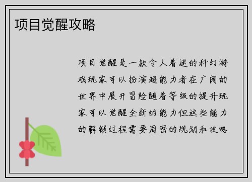 项目觉醒攻略